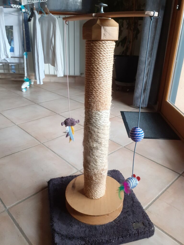 arbre à chat avec jeux et circuit